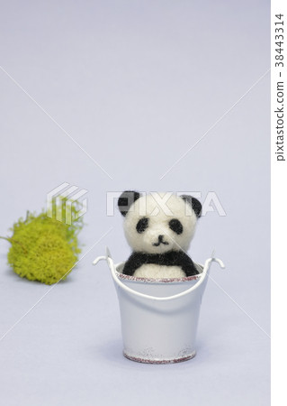 可愛的小孩熊貓的惡作劇 可愛的小孩熊貓的惡作劇 38443314