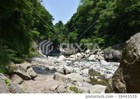 Tetori gorge Fresh green of early summer 38443329