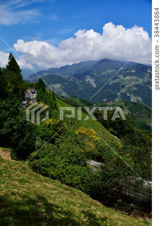 山 山 38443864