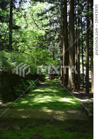 Takamochi Sanko Maeji Temple Takamochi Sanko Maeji Temple 38443930