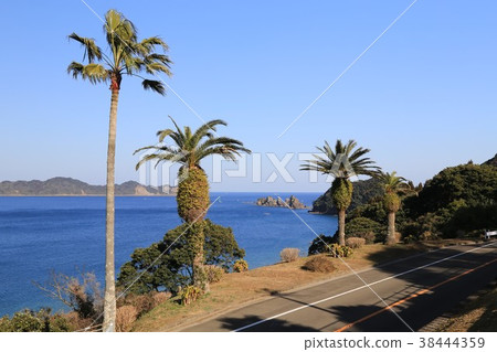 道之驛南鄉（宮崎縣） 38444359