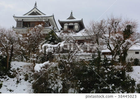 Fukuchiyama Castle Snow 38445023