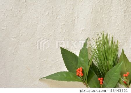 Thousand Fruits and Matsuba Washi Paper Background 38445561