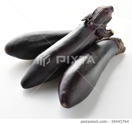 茄子茄子茄子 38445764