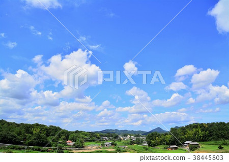 Summer landscape Summer landscape 38445803