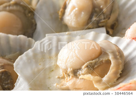 Scallop pot 38446564