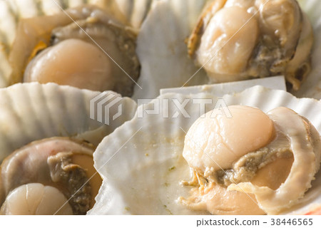 Scallop pot 38446565