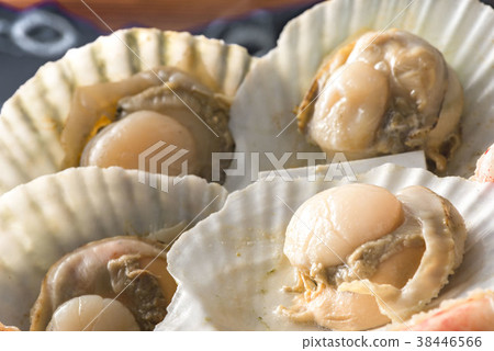 Scallop pot Scallop pot 38446566