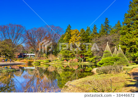 Tokyo Autumn Jindai Botanical Park 38446672