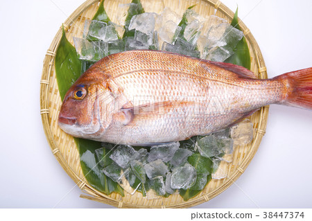 Food ingredients 38447374