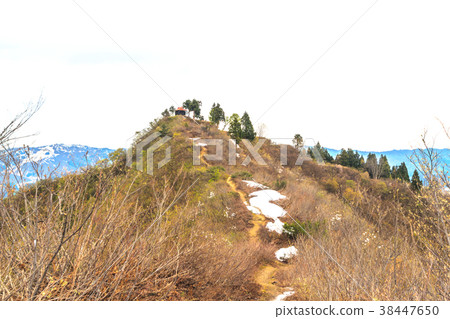 Sakado城堡廢墟風景在春天 38447650