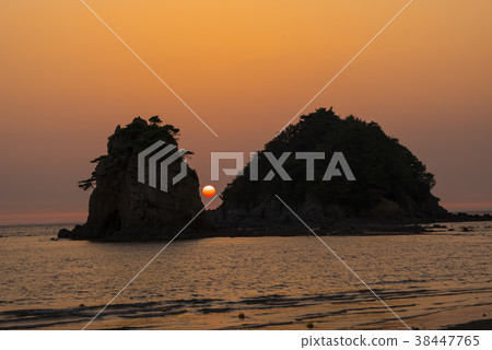 花園,泰安海岸國家公園,泰安郡,忠南 花園,泰安海岸國家公園,泰安郡,忠南 38447765