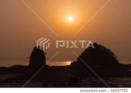 花園，泰安海岸國家公園，泰安郡，忠南 38447785