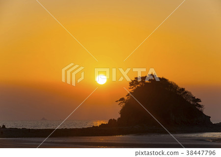 花園,泰安海岸國家公園,泰安郡,忠南 花園,泰安海岸國家公園,泰安郡,忠南 38447796