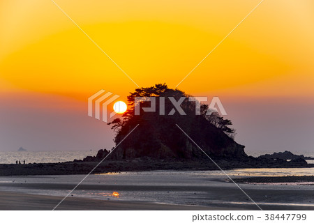 花園,泰安海岸國家公園,泰安郡,忠南 花園,泰安海岸國家公園,泰安郡,忠南 38447799