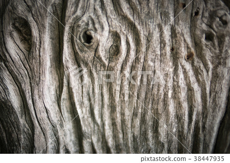 color wood texture background.Old wooden texture. color wood texture background.Old wooden texture. 38447935