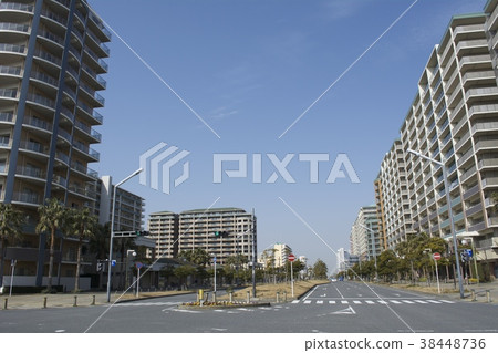 浦安市二月 浦安市二月 38448736
