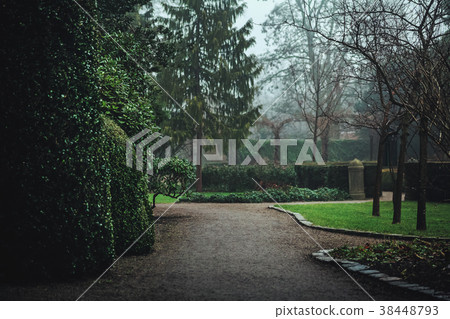 Dark moody park pathway landscape 38448793