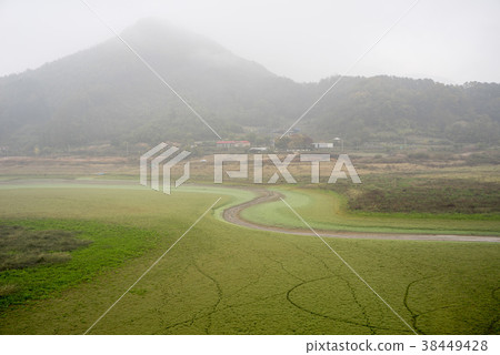 忠清郡沃川郡大清浩 忠清郡沃川郡大清浩 38449428