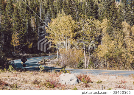 Highway at autumn in Colorado, USA. 38450565