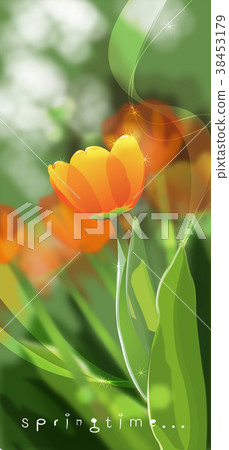 plant plant 38453179