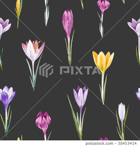Watercolor crocus floral vector pattern 38453414