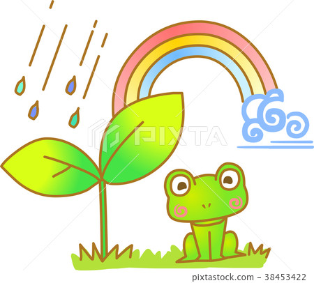 frog frog 38453422