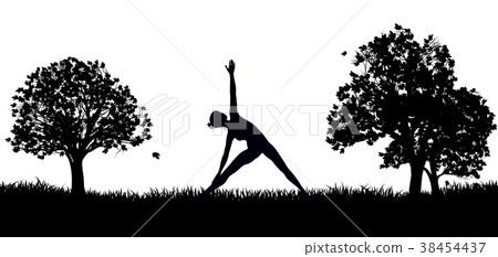 Yoga or Pilates in the Park Silhouette Yoga or Pilates in the Park Silhouette 38454437