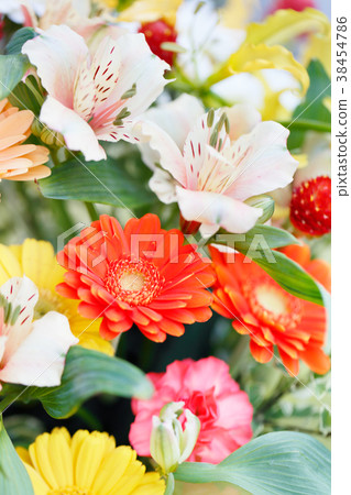 Fresh flowers 38454786