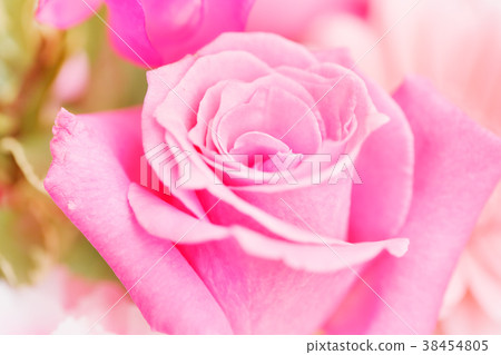 Fresh flowers 38454805