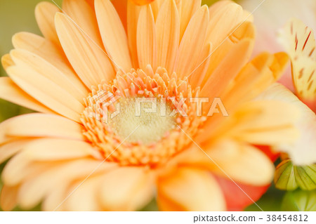 Fresh flowers 38454812