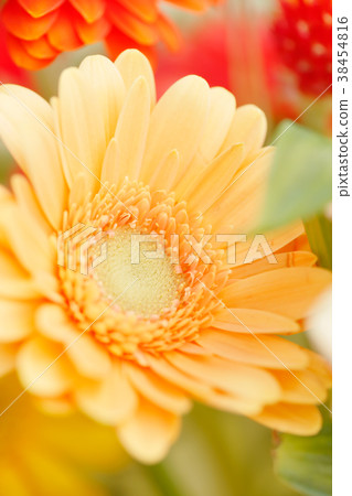 Fresh flowers 38454816