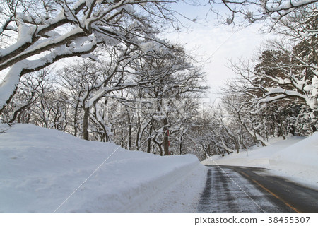 Road leading to Oyama in winter 38455307