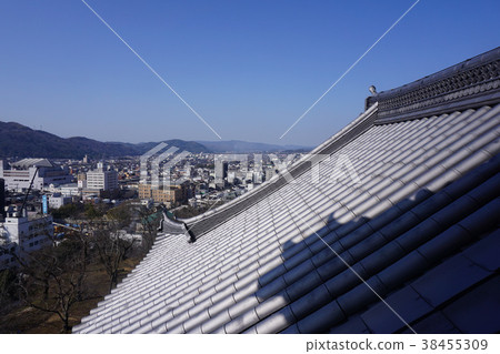 Tsuruyama Park (Tsuyama Castle Fort), a famous spot of cherry blossoms in Tsuyama City, Okayama Pref. 38455309