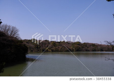 Landscape of forest and pond 38455338