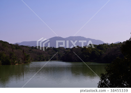 Landscape of forest and pond Landscape of forest and pond 38455339