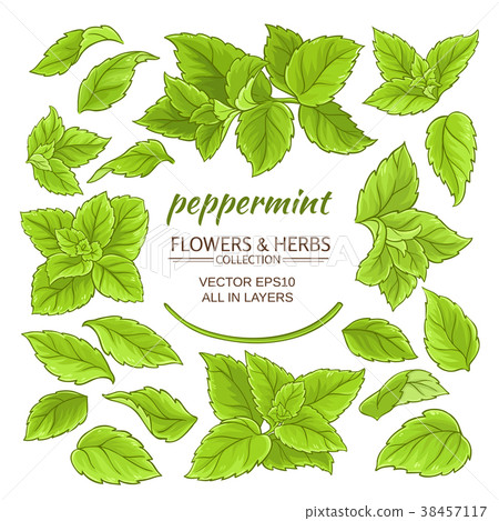 peppermint elements set 38457117