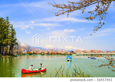 Cherry tree 5 of Ryoryu Park Cherry tree 5 of Ryoryu Park 38457401