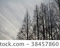 冬天的天空 38457860