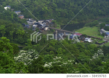 三貂嶺車站,火車,鐵道,鐵橋,平溪線,基隆河,河流,水,山,新北市,瑞芳區,油桐花,四月雪,五月雪 38459783