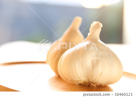 garlic  38460121