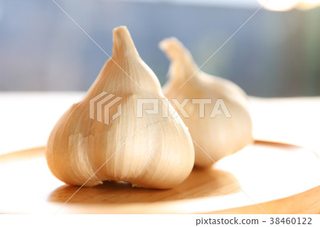 garlic garlic 38460122