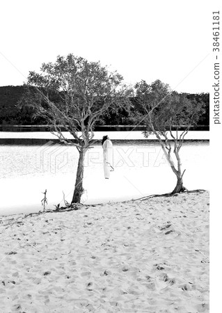 tourism tree and relax in the paradise 38461181