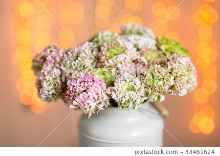 Pink persian buttercup flowers. Curly peony 38461624