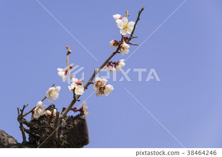 Gimhae Construction Technical High School, Gimhae City, Gyeongnam 38464246