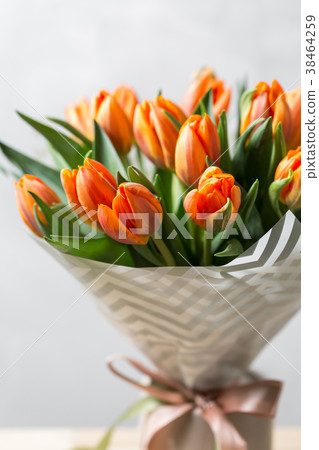 Beautiful orange and yellow tulips on light gray Beautiful orange and yellow tulips on light gray 38464259