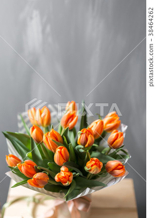 Beautiful orange tulips on gray wall. Flower Beautiful orange tulips on gray wall. Flower 38464262