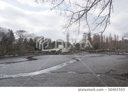 Landscape of Inokashira Pond (Musashino City, Tokyo) Landscape of Inokashira Pond (Musashino City, Tokyo) 38465503