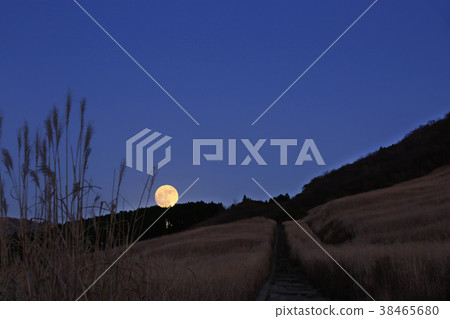 Suzuki group of full moon and Sengokuhara 38465680