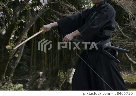 Japanese martial arts Japanese martial arts 38465730